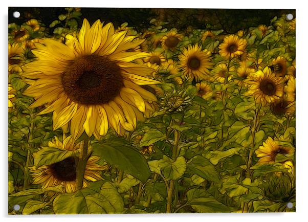 Fractal Sunflowers Acrylic by Trevor Kersley RIP