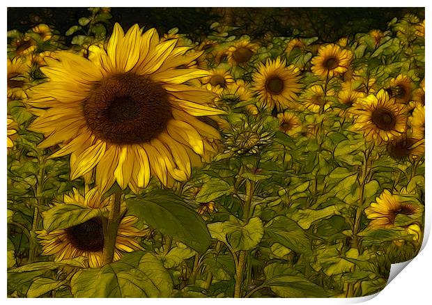 Fractal Sunflowers Print by Trevor Kersley RIP