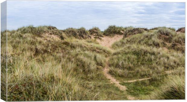 Trails through the Formby sand dunes Canvas Print by Jason Wells