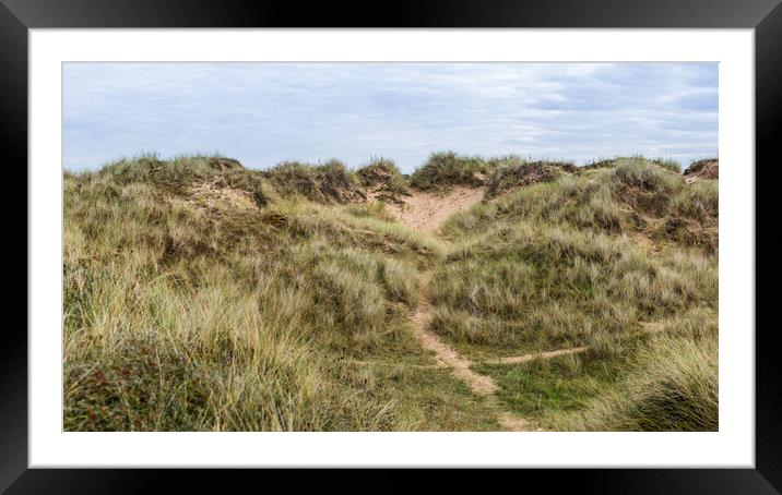 Trails through the Formby sand dunes Framed Mounted Print by Jason Wells