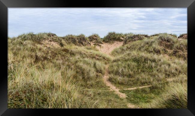 Trails through the Formby sand dunes Framed Print by Jason Wells