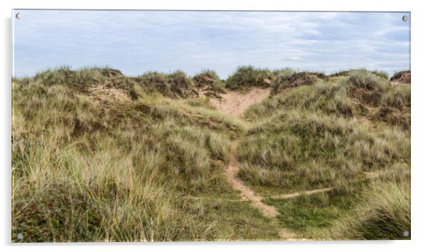 Trails through the Formby sand dunes Acrylic by Jason Wells