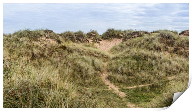 Trails through the Formby sand dunes Print by Jason Wells