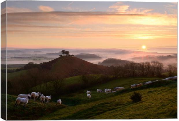 Dorset Mornings Canvas Print by David Neighbour