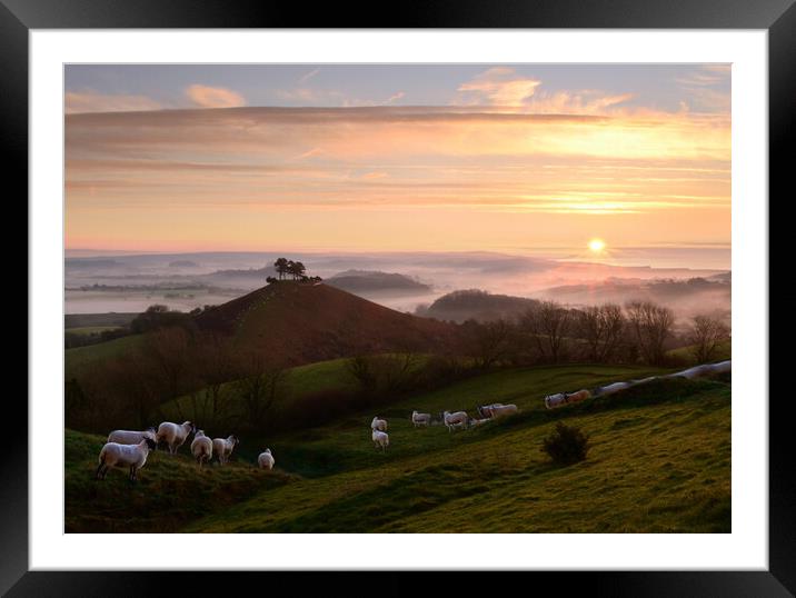 Dorset Mornings Framed Mounted Print by David Neighbour