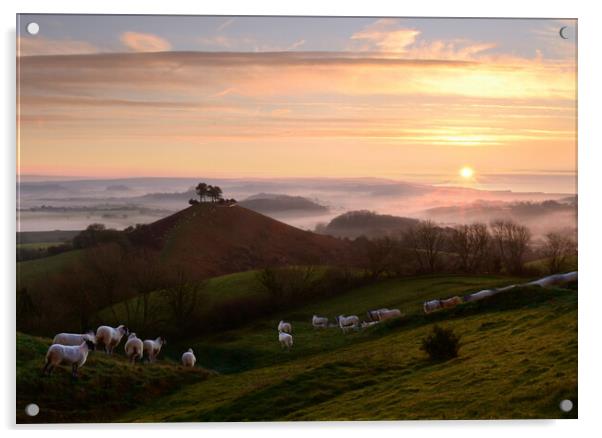 Dorset Mornings Acrylic by David Neighbour