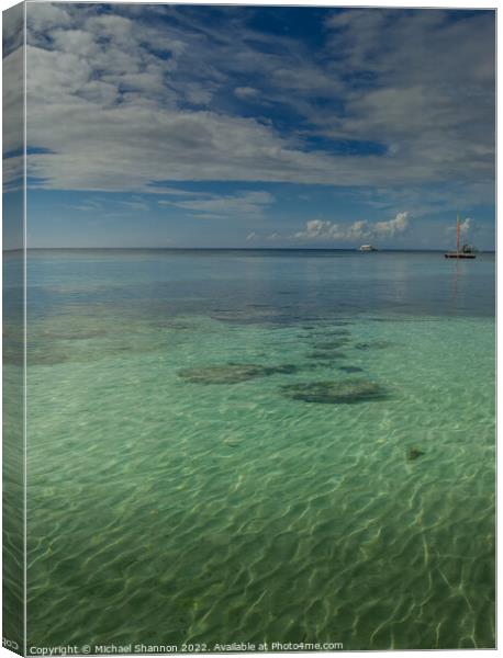 Beautiful clear sea, Panglao Beach, Bohol, Philipp Canvas Print by Michael Shannon