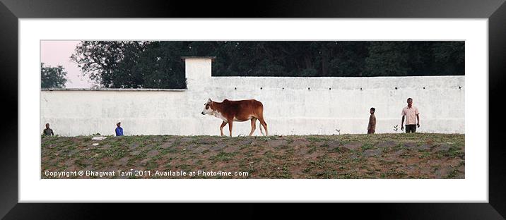 Against the Wall Framed Mounted Print by Bhagwat Tavri