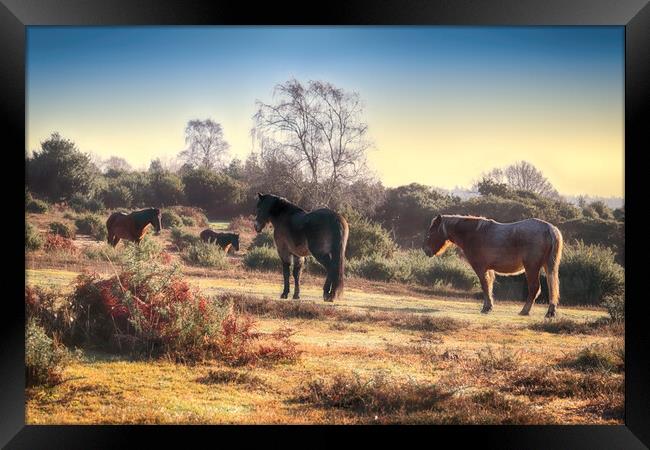 Outdoor field Framed Print by Ceri Jones