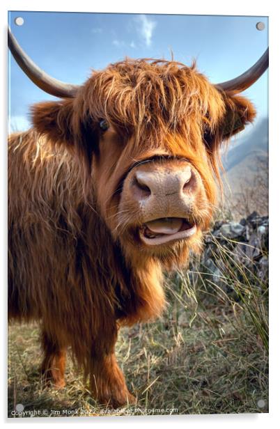 Highland Cow Acrylic by Jim Monk