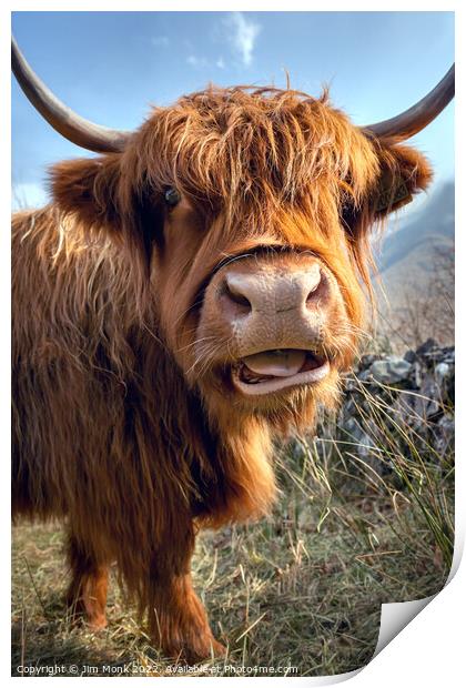Highland Cow Print by Jim Monk