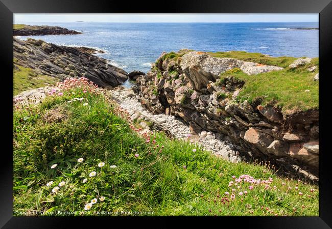 Machair on Rocky Coast Outer Hebrides Scotland Framed Print by Pearl Bucknall