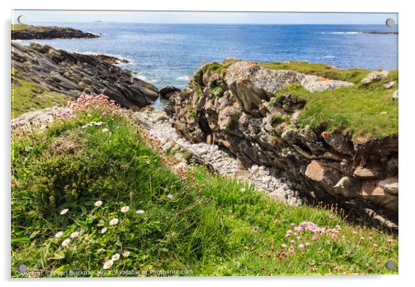 Machair on Rocky Coast Outer Hebrides Scotland Acrylic by Pearl Bucknall