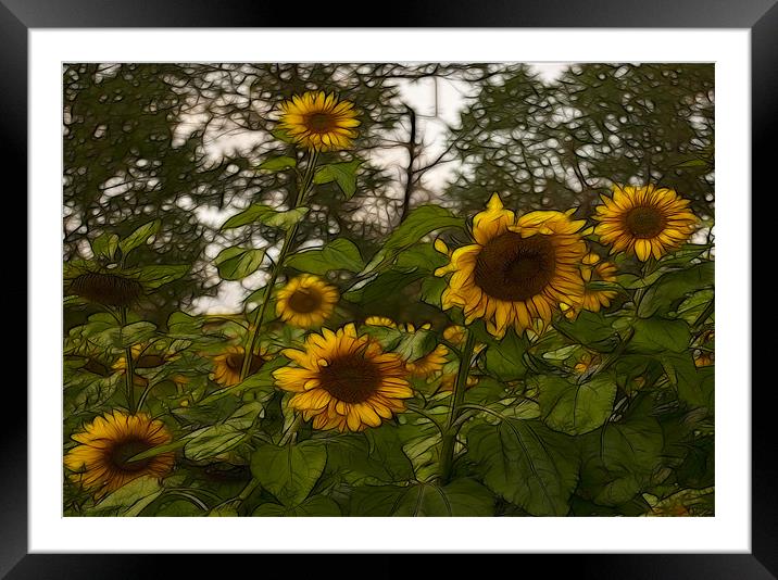 Fractal Sunflowers Framed Mounted Print by Trevor Kersley RIP