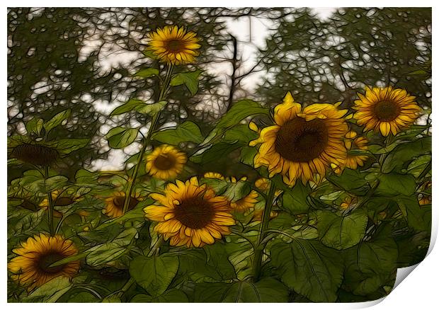 Fractal Sunflowers Print by Trevor Kersley RIP