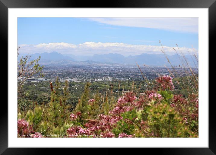 City of Cape Town Framed Mounted Print by Adrian Paulsen