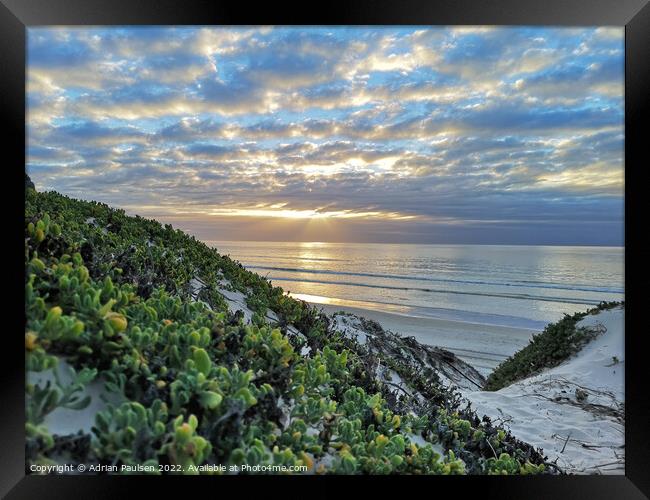 Sunrise from the dunes Framed Print by Adrian Paulsen