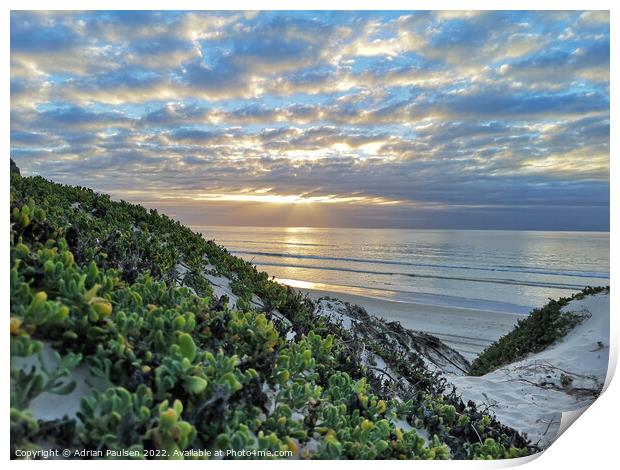 Sunrise from the dunes Print by Adrian Paulsen