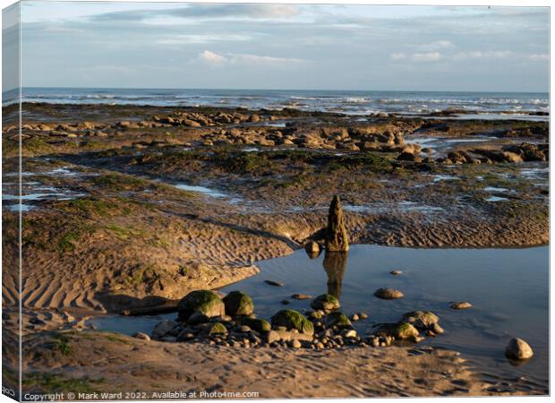 Rockpools to Dream into. Canvas Print by Mark Ward