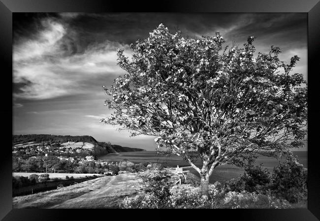 View from Peak Hill Framed Print by Darren Galpin