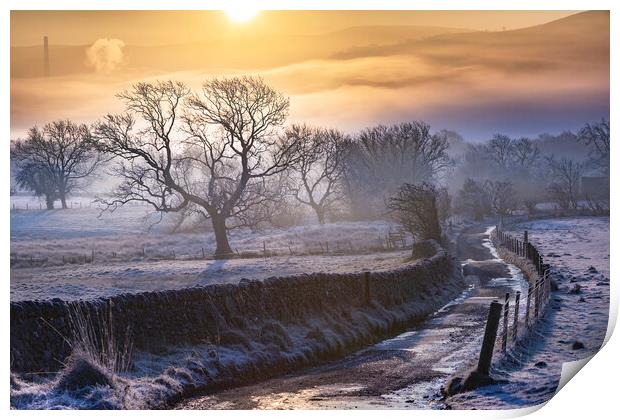 Jack Frost Sunrise Print by John Finney