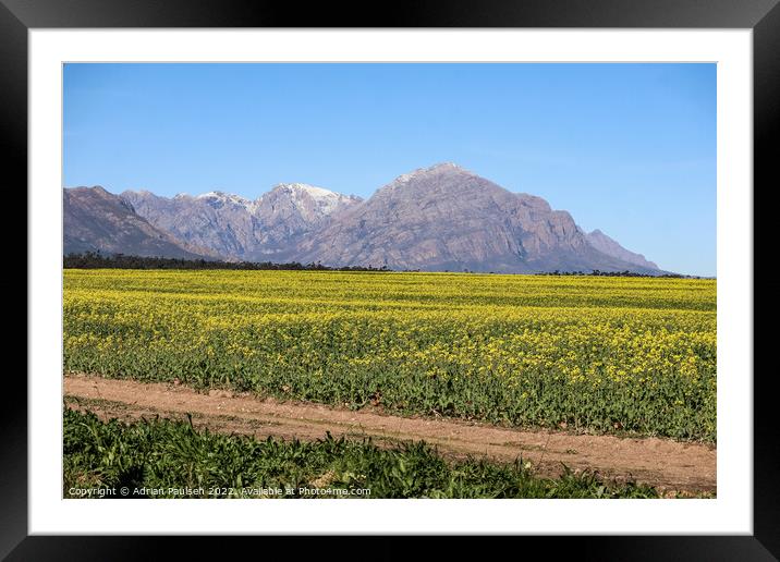 Snowcapped Mountains Framed Mounted Print by Adrian Paulsen
