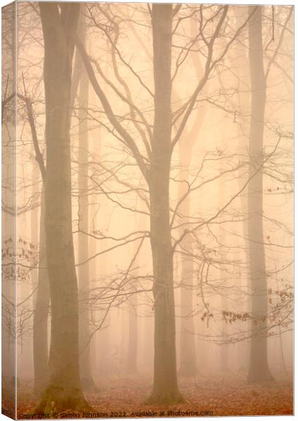 Woodland architecture in mist Canvas Print by Simon Johnson