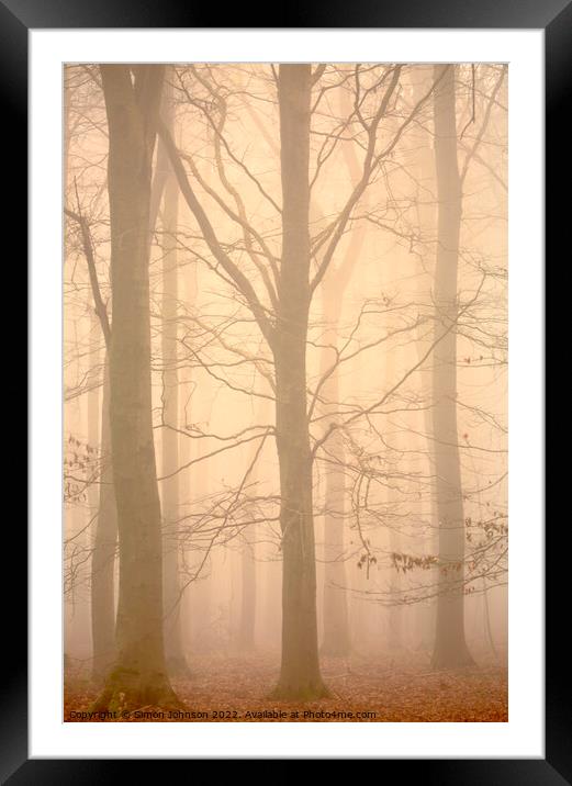 Woodland architecture in mist Framed Mounted Print by Simon Johnson