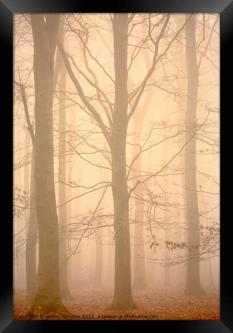 Woodland architecture in mist Framed Print by Simon Johnson