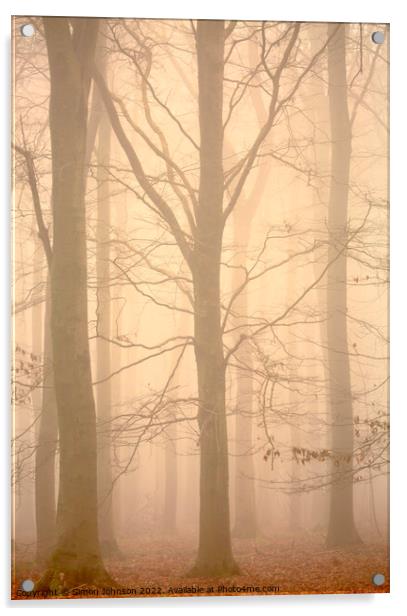 Woodland architecture in mist Acrylic by Simon Johnson