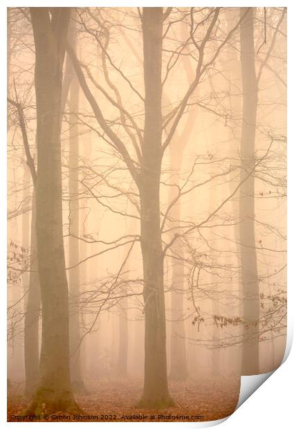 Woodland architecture in mist Print by Simon Johnson