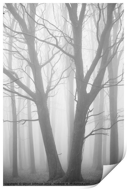 Tree symmetry Print by Simon Johnson
