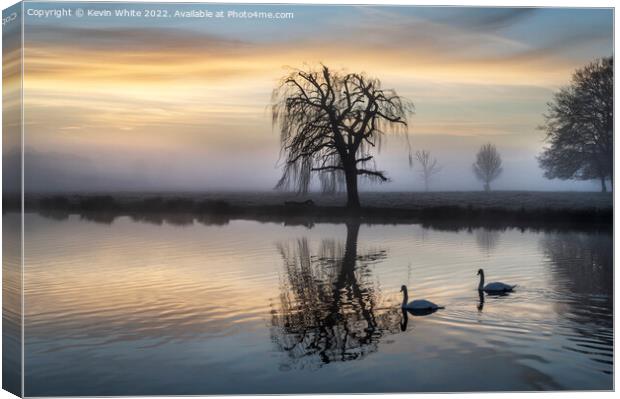 Swans pond Canvas Print by Kevin White