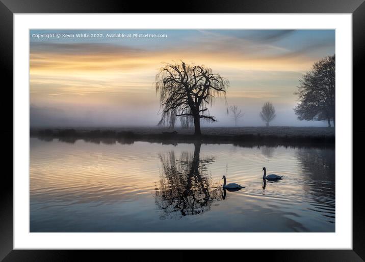 Swans pond Framed Mounted Print by Kevin White