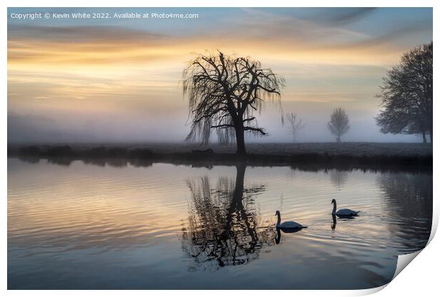 Swans pond Print by Kevin White