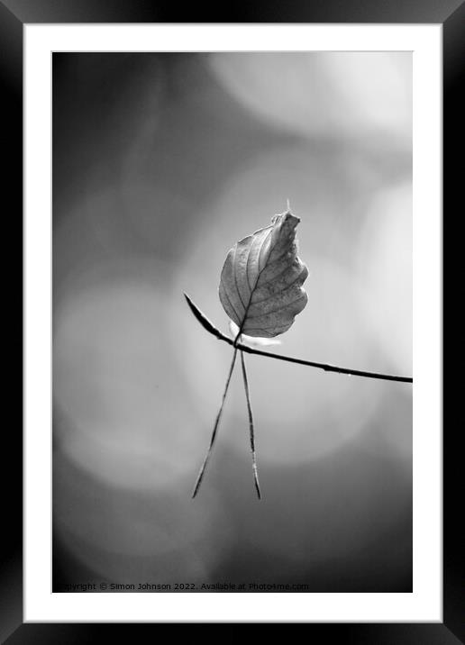 leaf in monochrome  Framed Mounted Print by Simon Johnson