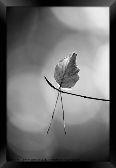leaf in monochrome  Framed Print by Simon Johnson