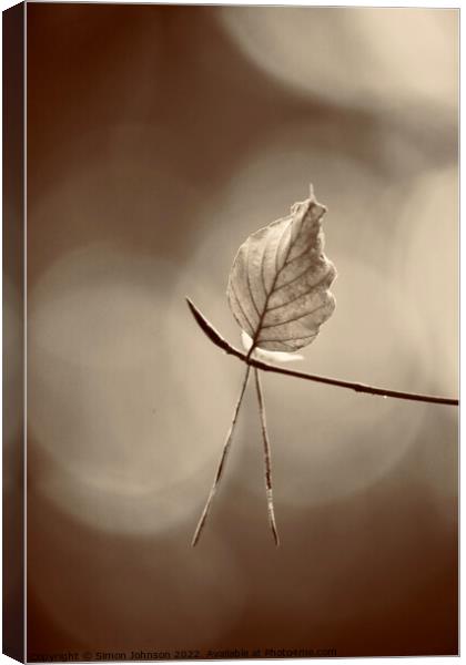 last leaf standing Canvas Print by Simon Johnson
