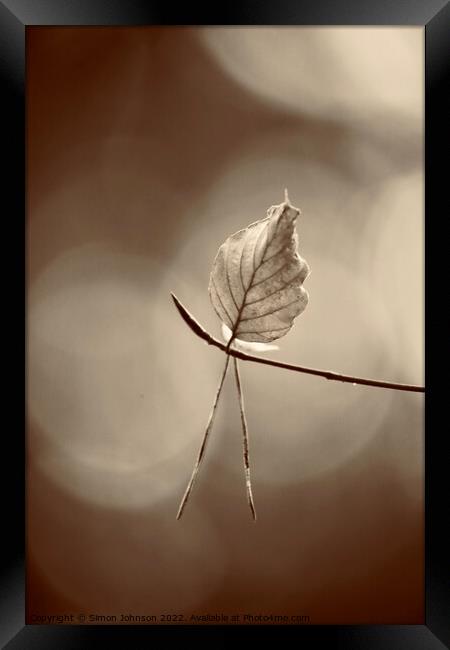 last leaf standing Framed Print by Simon Johnson