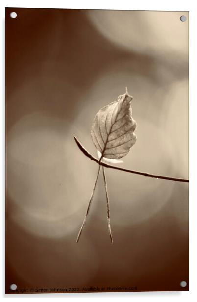 last leaf standing Acrylic by Simon Johnson