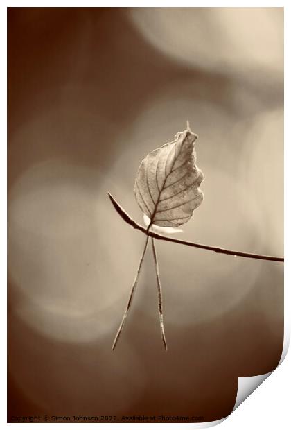 last leaf standing Print by Simon Johnson