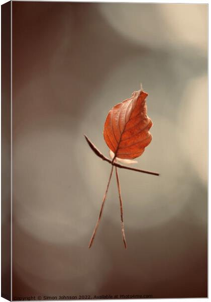 leaf man Canvas Print by Simon Johnson