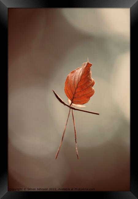 leaf man Framed Print by Simon Johnson