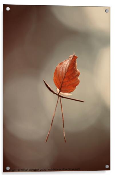 leaf man Acrylic by Simon Johnson