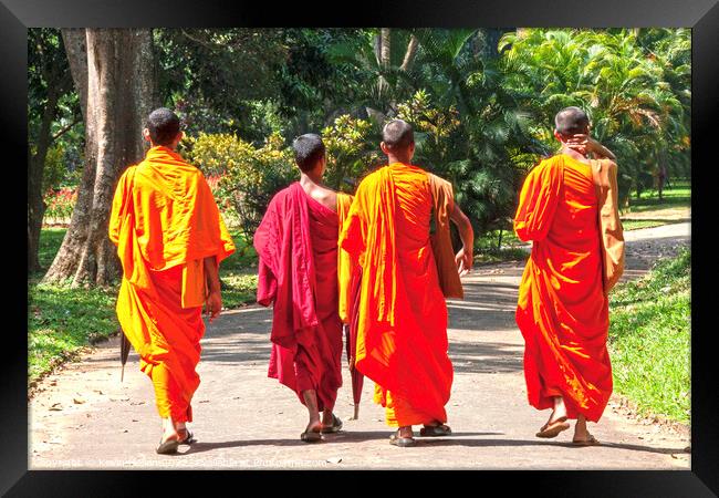 Monks in orange and maroon robes Framed Print by Kevin Hellon
