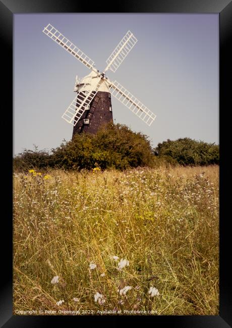 The Tower Windmill at Burnham Overy Staithe, Norfolk Framed Print by Peter Greenway