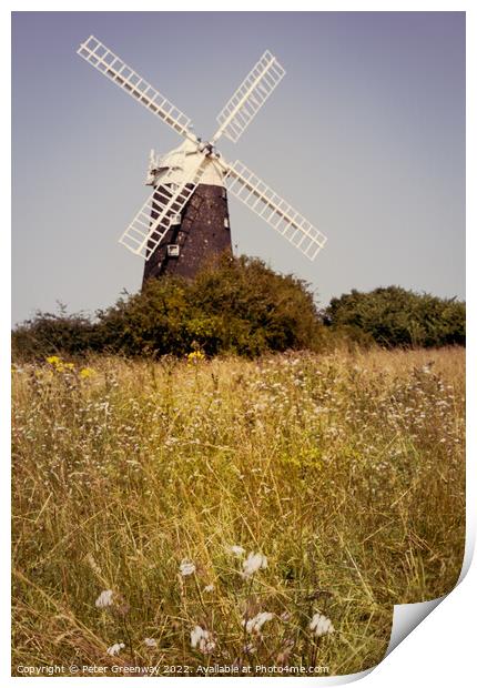 The Tower Windmill at Burnham Overy Staithe, Norfolk Print by Peter Greenway