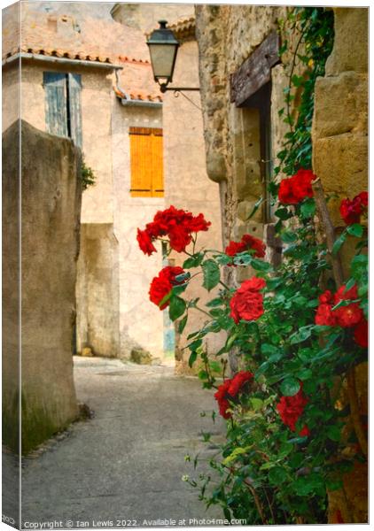 Rose Adorned Lane in Southern France Canvas Print by Ian Lewis