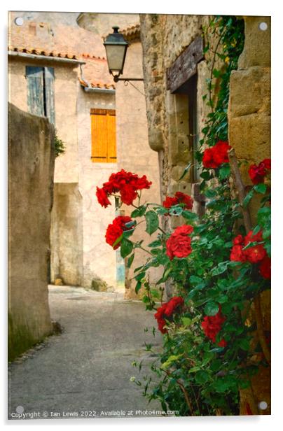 Rose Adorned Lane in Southern France Acrylic by Ian Lewis
