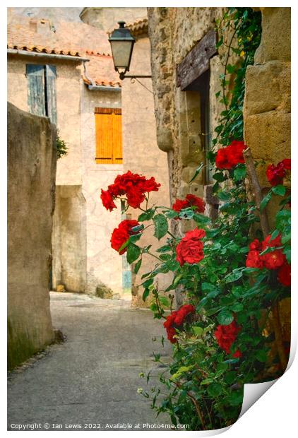 Rose Adorned Lane in Southern France Print by Ian Lewis